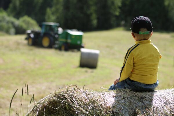 Pieni poika istuu heinäpaalin päällä pellon reunalla ja katselee traktoria.